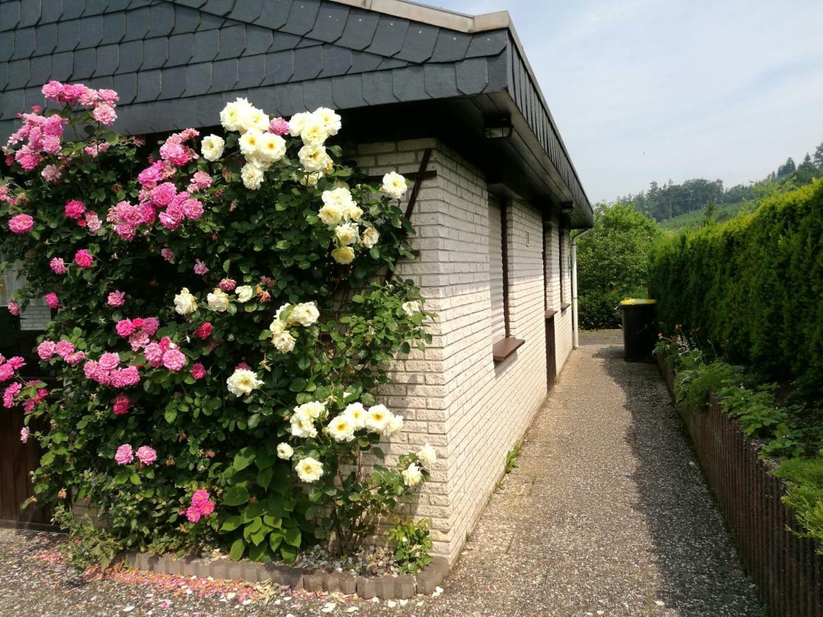 Ferienhaus Bianca メシェデ エクステリア 写真